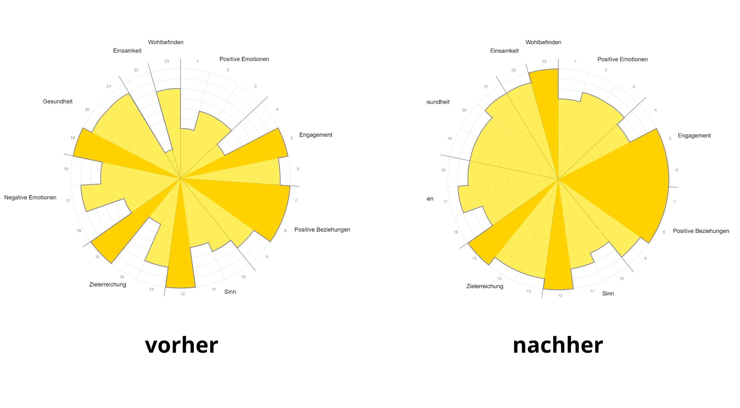 Vorher-Nachher Beispiel einer PERMA-Sonne mit sichtlich erweitertem Wohlbefinden