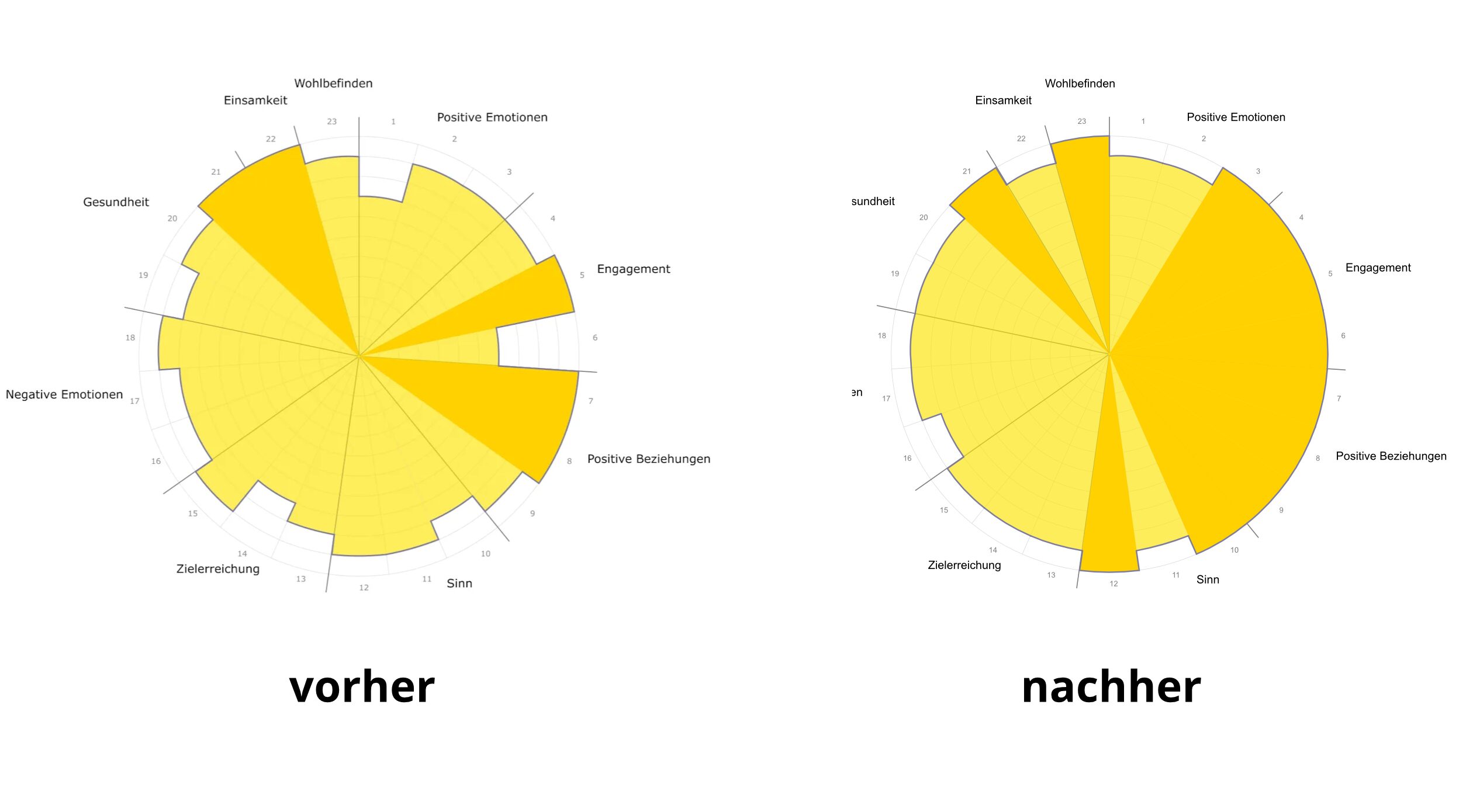 Die Entwicklung im Überblick: Die PERMA-Sonne zeigt den Fortschritt von 'Vorher' zu 'Nachher'